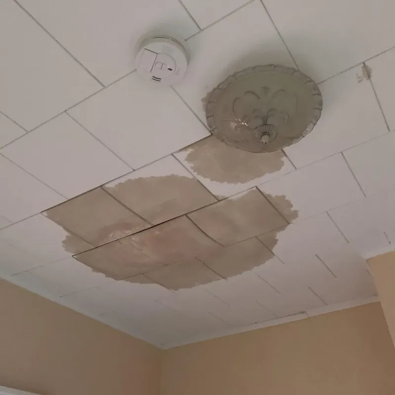 Ceiling Water Damage Repair in Terry County, TX