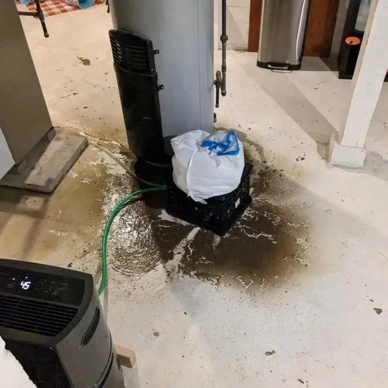 Sewage Backup Cleanup Service in Terry County, TX
